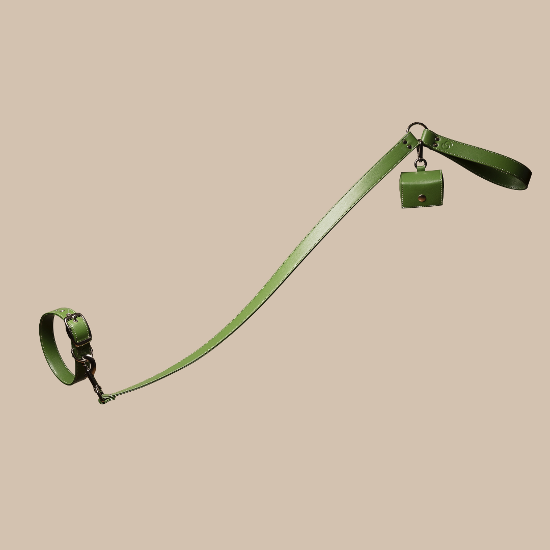 Green apple leather lead-0