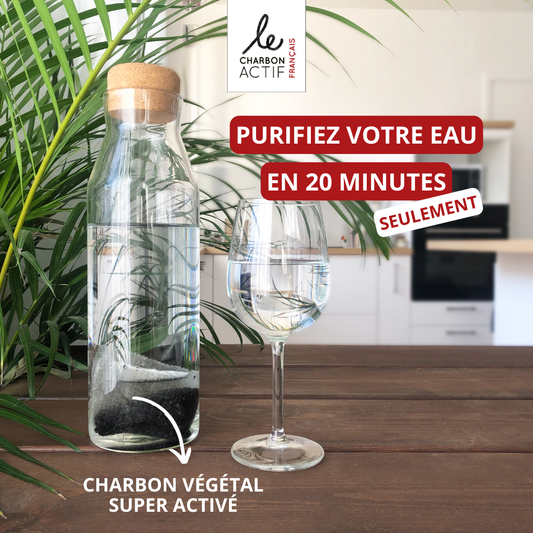 Carafe filtrante en verre 1,4L au charbon actif-3