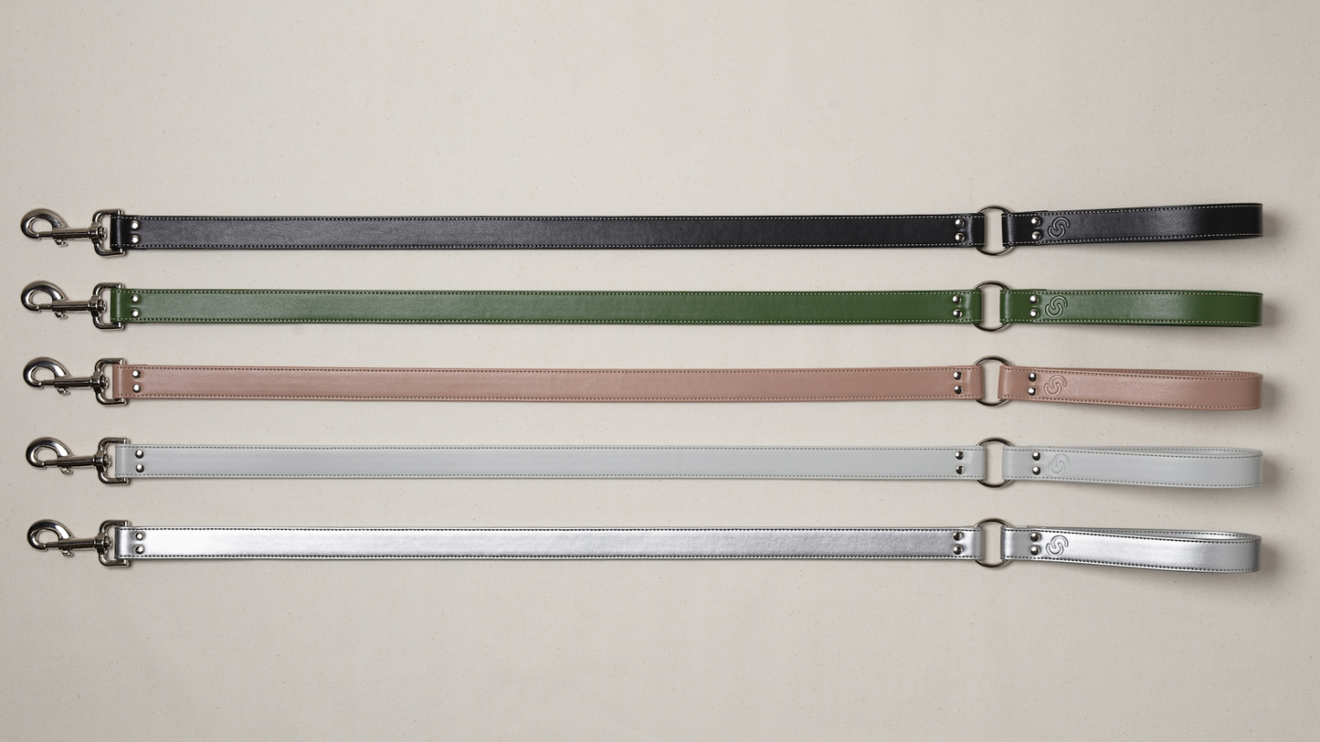 Silver apple leather lead-2