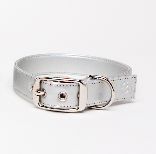 Silver apple leather dog collar-1